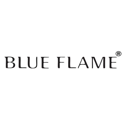 Blue Flame Logo