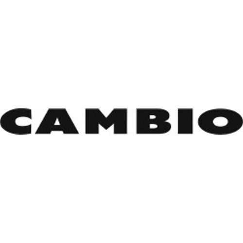 Cambio Logo