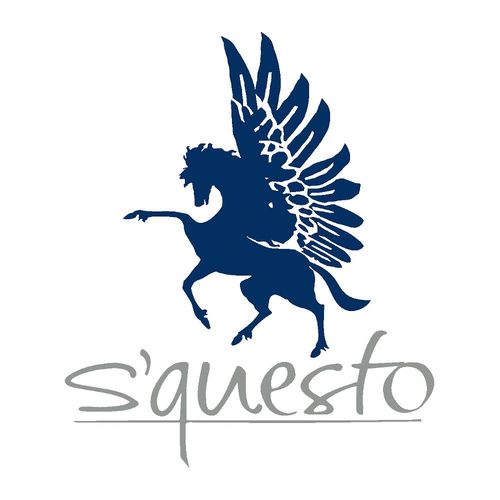 s'questo Logo